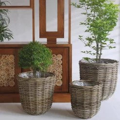 Lilli runde fletkurve - 3 stk/sæt